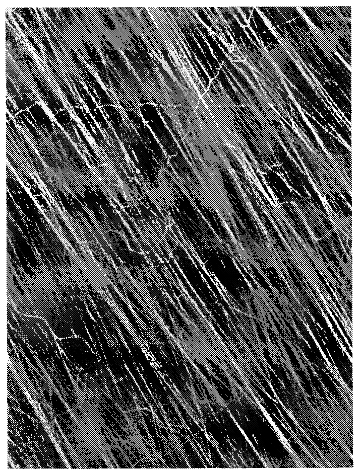 Conduit for tissue-engineered nerve transplanting and preparation method thereof