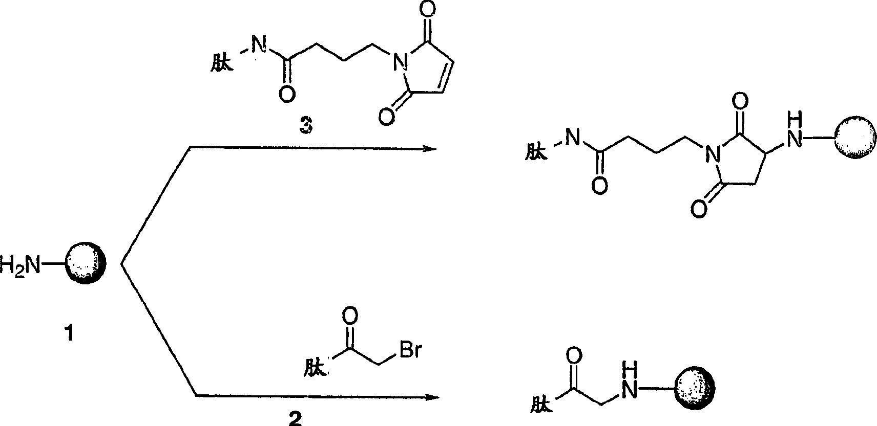 Influenza virus vaccine