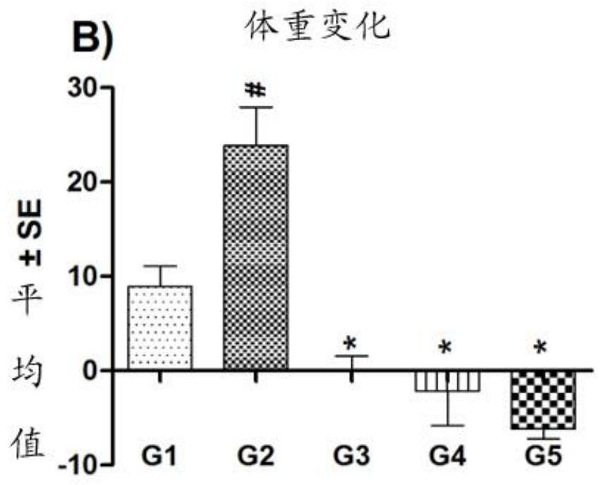 Synergistic herbal compositions for the treatment of obesity and overweight