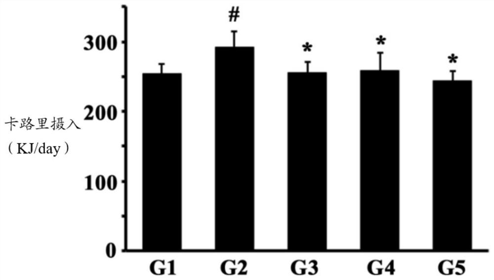 Synergistic herbal compositions for the treatment of obesity and overweight