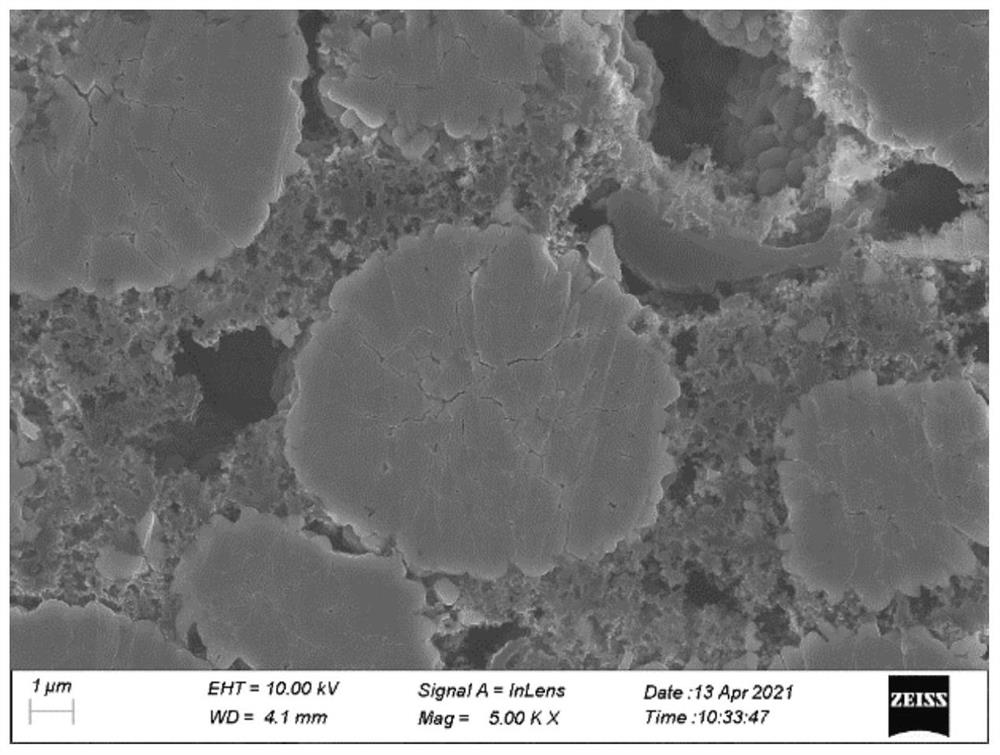 Coated ternary precursor, preparation method thereof and positive electrode material containing coated ternary precursor