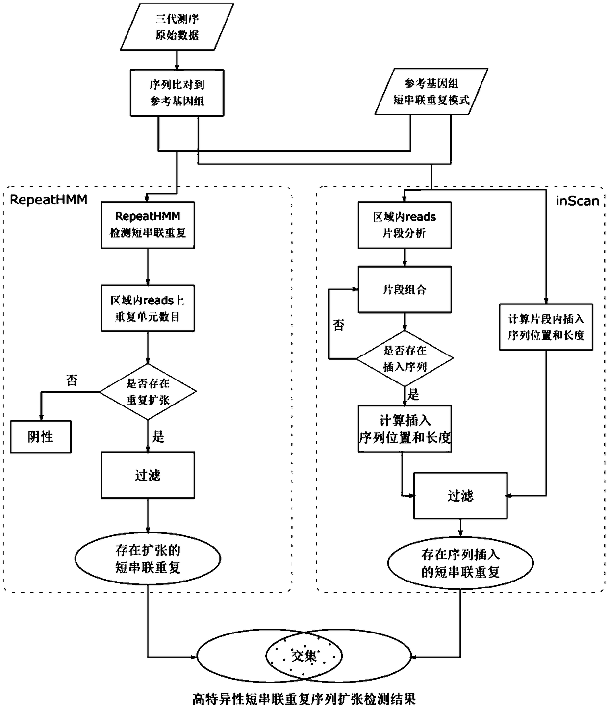 Method for detecting expansion of short tandem repeat