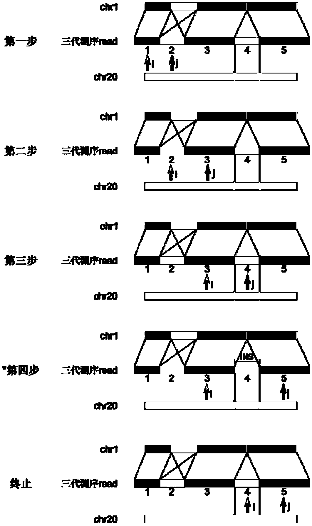 Method for detecting expansion of short tandem repeat