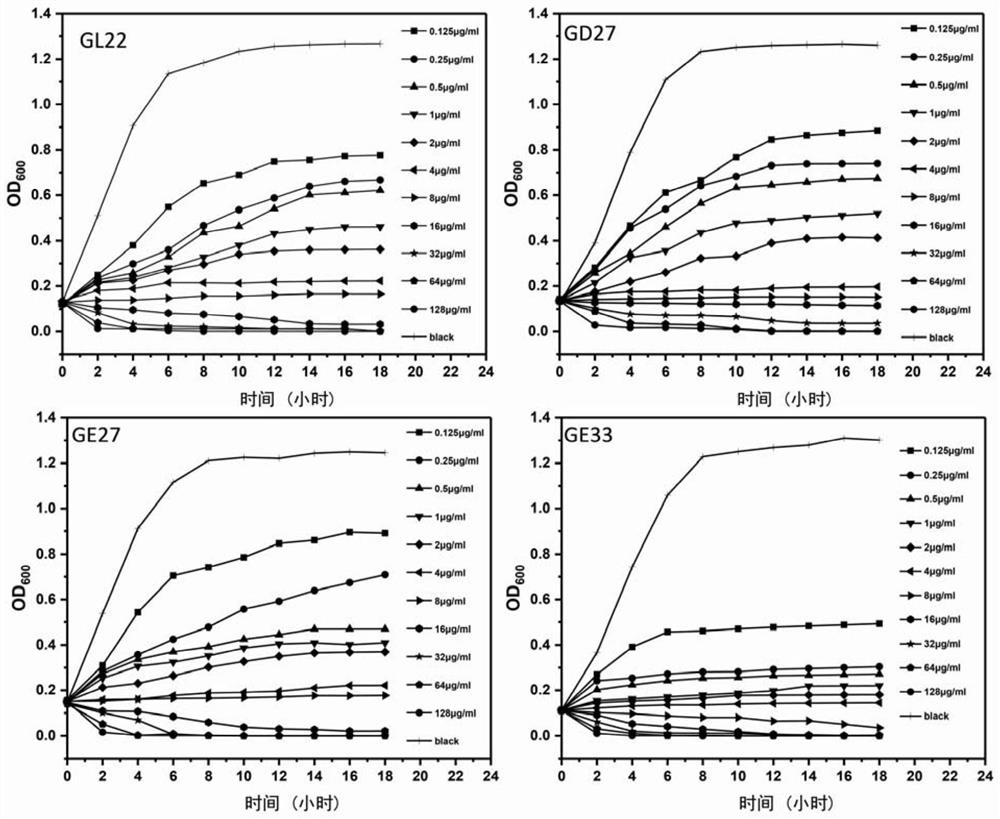 Antibacterial peptide and pharmaceutical composition and application thereof