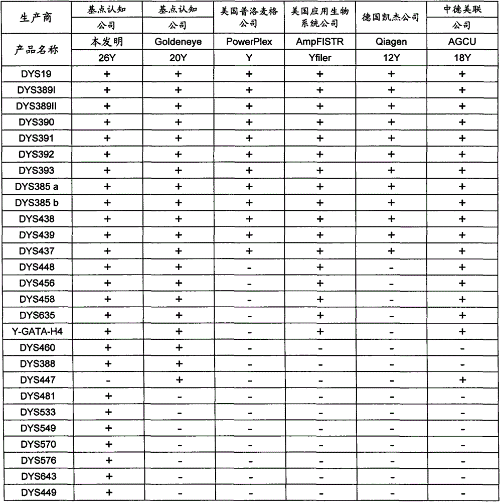 Composite amplification kit for 26 Y chromosome short tandem repeats