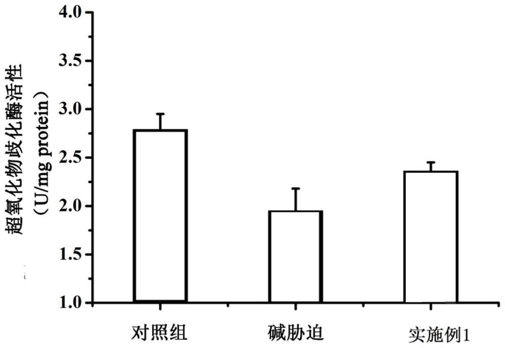 Alkali stress treatment agent as well as preparation method and application thereof