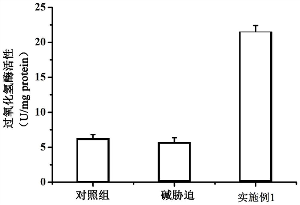 Alkali stress treatment agent as well as preparation method and application thereof