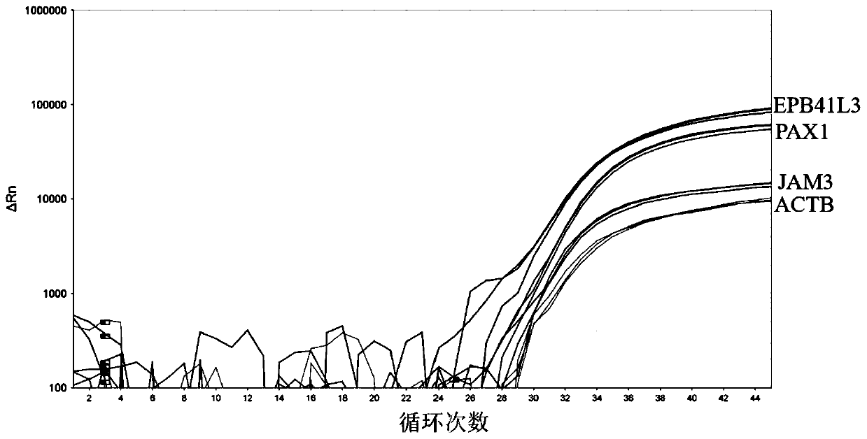 DNA methylation qPCR kit for cervical cancer detection as well as use method and application thereof