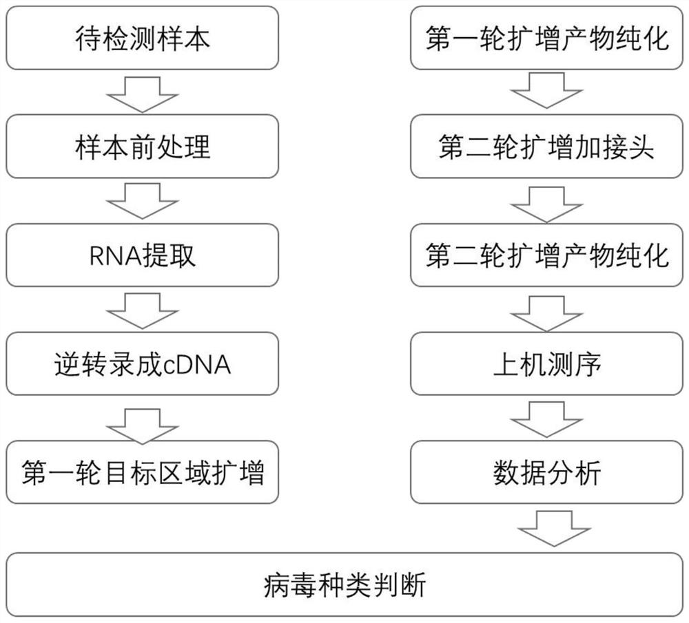 Primer combination and method for detecting common respiratory viruses