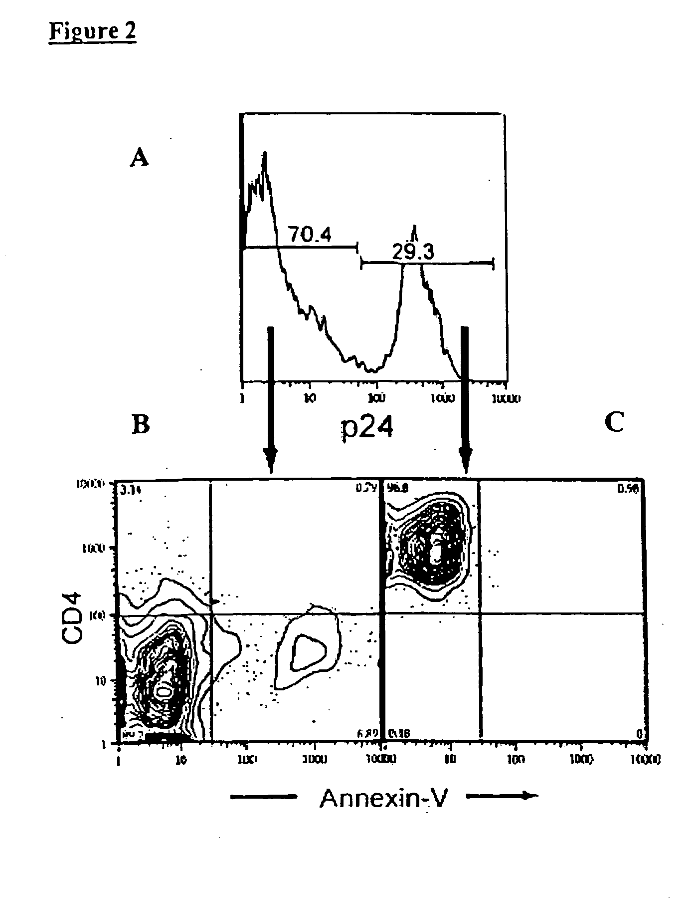 Single cell assessment of viral infection/replication