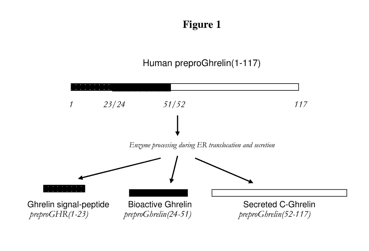 Biomarkers for pneumonia and acute decompensated heart failure