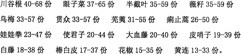 Traditional Chinese medicine preparation for treating ascariasis and preparation method