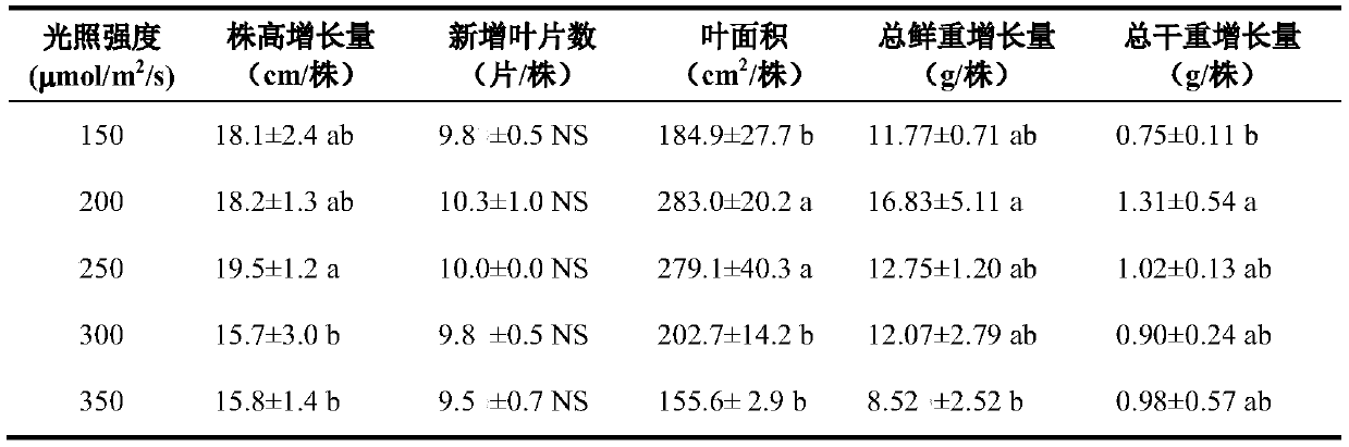 Seedling culture method for hydroponic efficient subculture of virus-free dioscorea esculenta seedlings under LED light