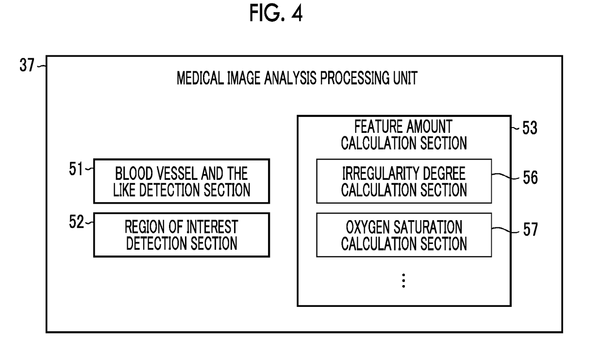 Medical image processing apparatus, endoscope apparatus, diagnostic support apparatus, and medical service support apparatus