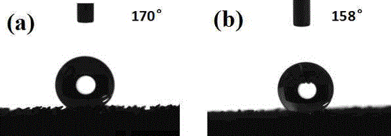 Hydrophobic and oleophobic open-cell foam material and preparation method thereof