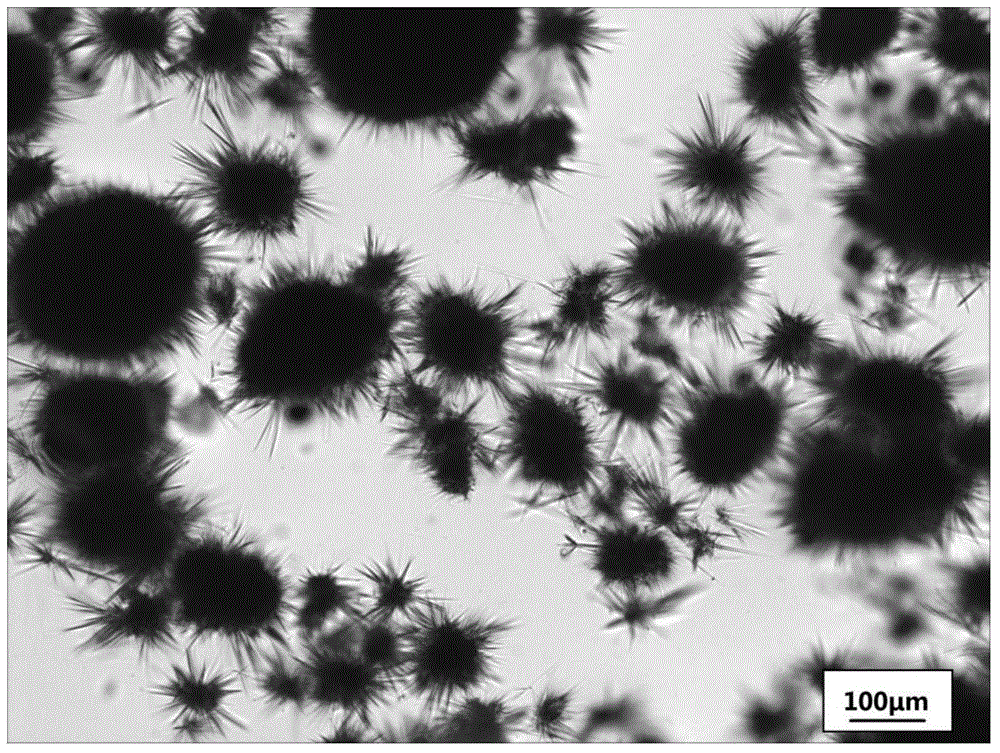 Method for preparing cefotaxime sodium crystal