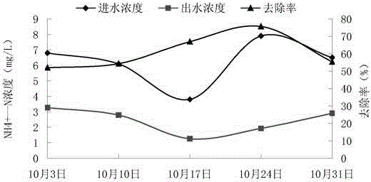 Application of euphorbia helioscopia in treatment of countryside combined system domestic sewage