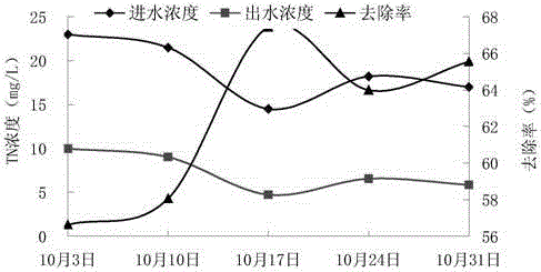 Application of euphorbia helioscopia in treatment of countryside combined system domestic sewage