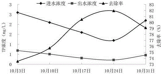 Application of euphorbia helioscopia in treatment of countryside combined system domestic sewage