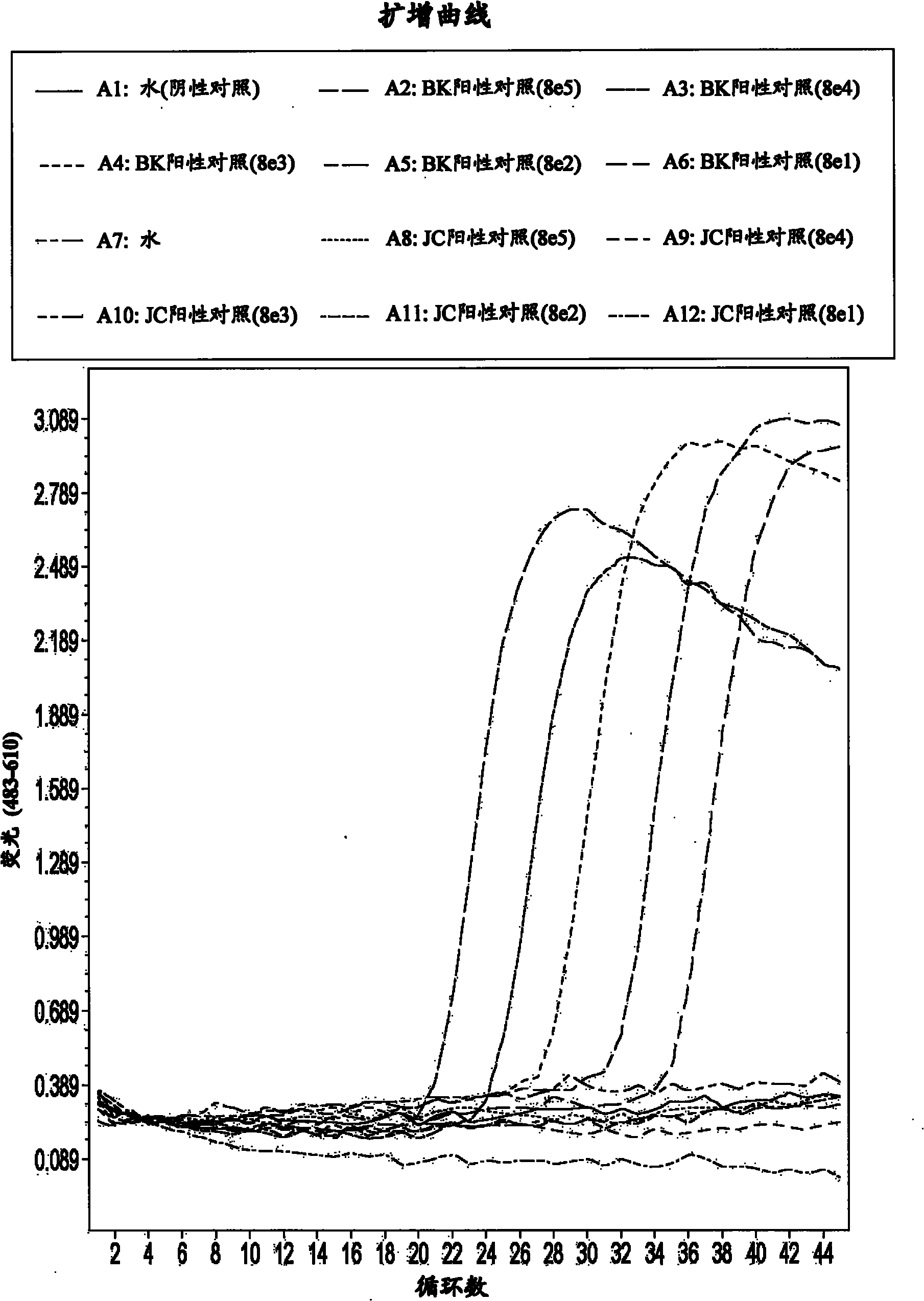 Detection of polyomavirus