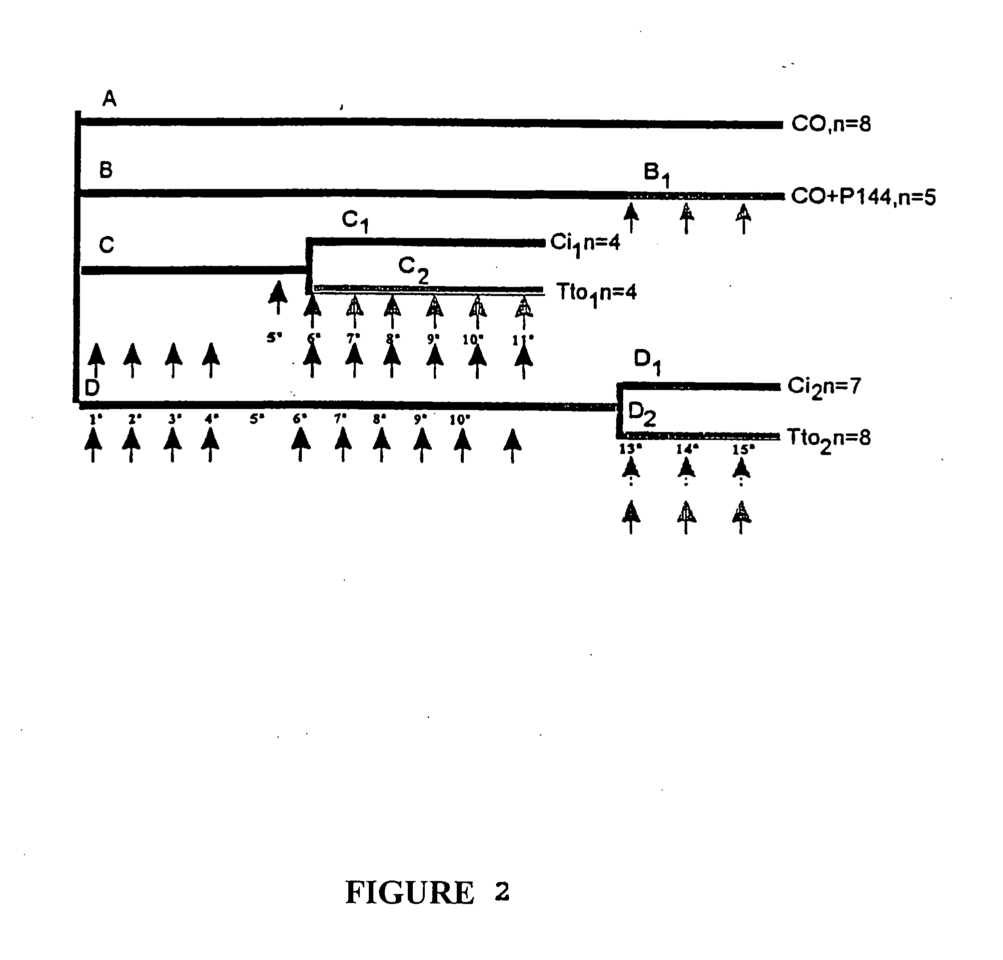 TGFbeta1-inhibitor peptides