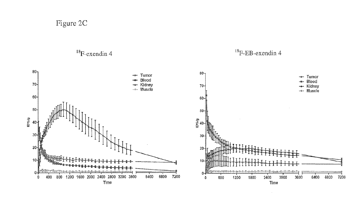 Chemical conjugates of evans blue derivatives and their use in the production of long-acting therapeutics