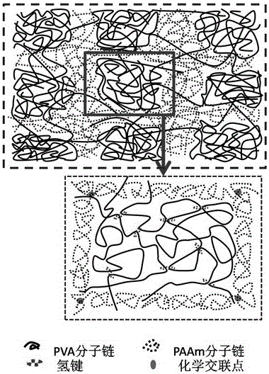 A kind of preparation method of fatigue-repairable high-strength bilayer network hydrogel