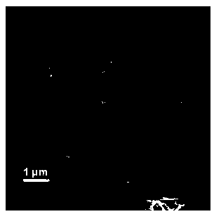 Three-dimensional graphene reticular structure loaded carbon-coated tin nanometer material as well as preparation method and application thereof