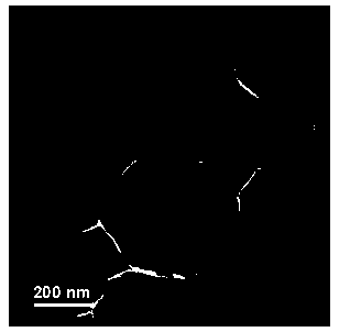 Three-dimensional graphene reticular structure loaded carbon-coated tin nanometer material as well as preparation method and application thereof