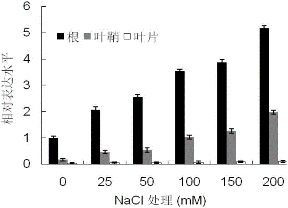 Elytrigia elongata HKT type transporter, namely EeHKT1; 4, as well as coding gene and application thereof