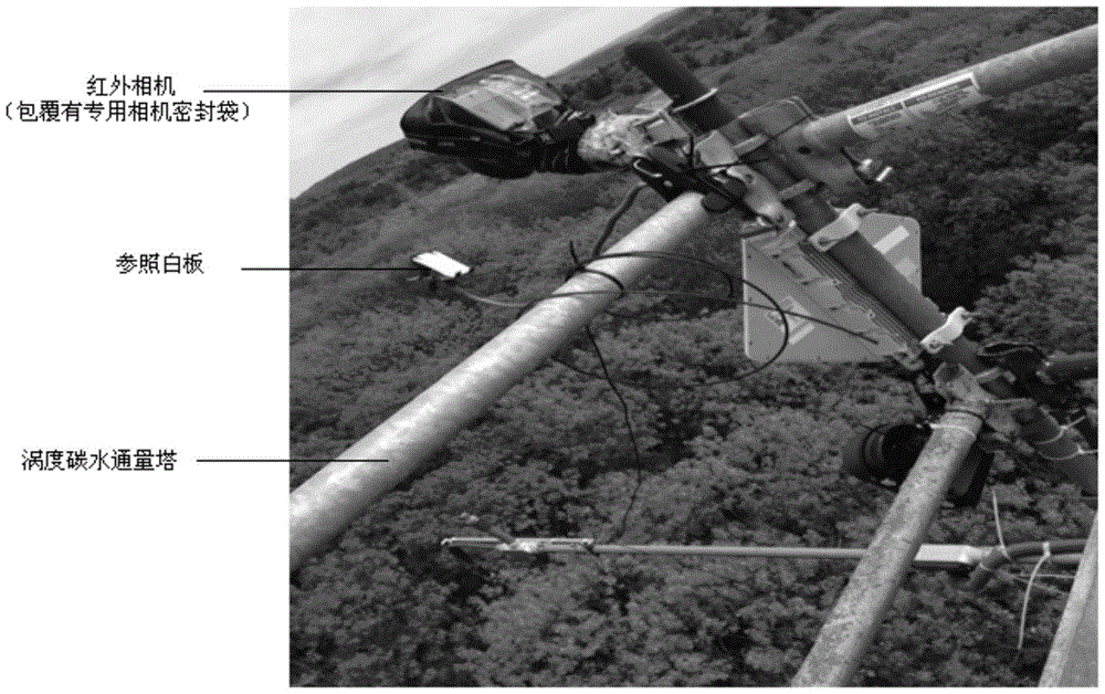 Method for rapidly inverting primary productivity of wetland vegetation