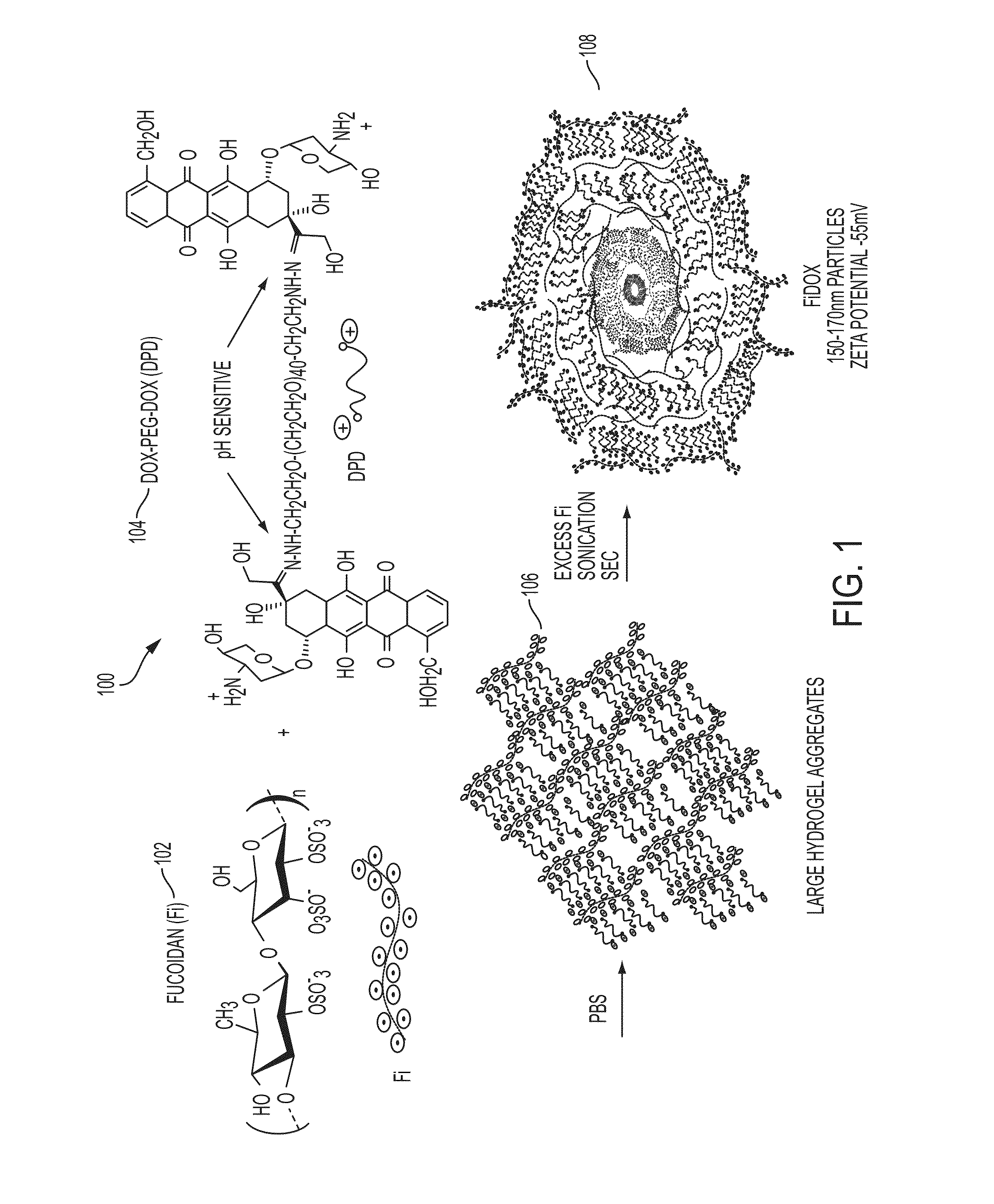 Fucoidan nanogels and methods of their use and manufacture