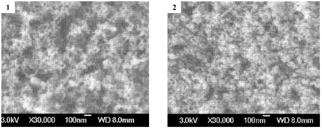 Cell catalyzed by titanium dioxide, preparation method of cell and application