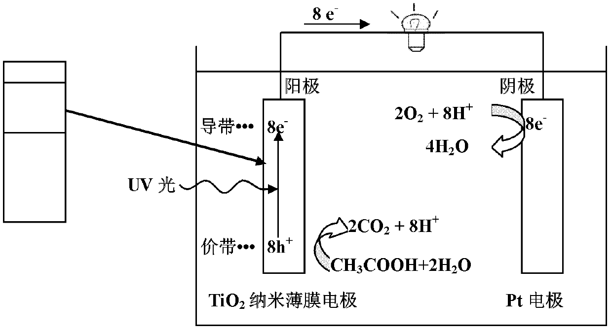 Cell catalyzed by titanium dioxide, preparation method of cell and application