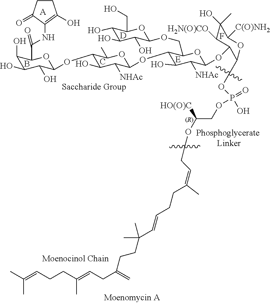 Moenomycin analogs, methods of synthesis, and uses thereof