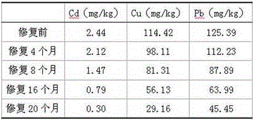 Bioremediation of Heavy Metal Contaminated Soil