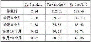 Bioremediation of Heavy Metal Contaminated Soil