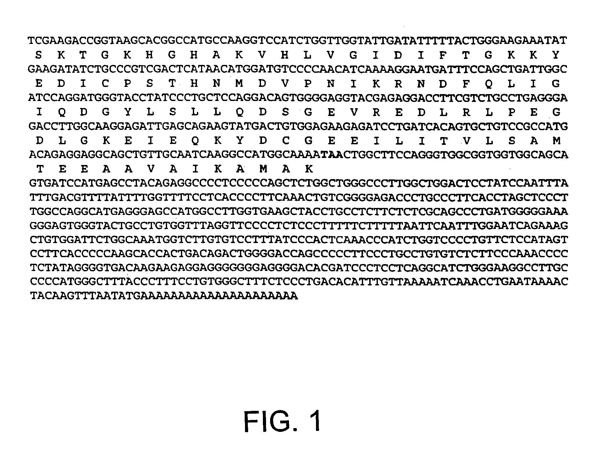 Nucleic acids, polypeptides, compositions, and methods for modulating apoptosis