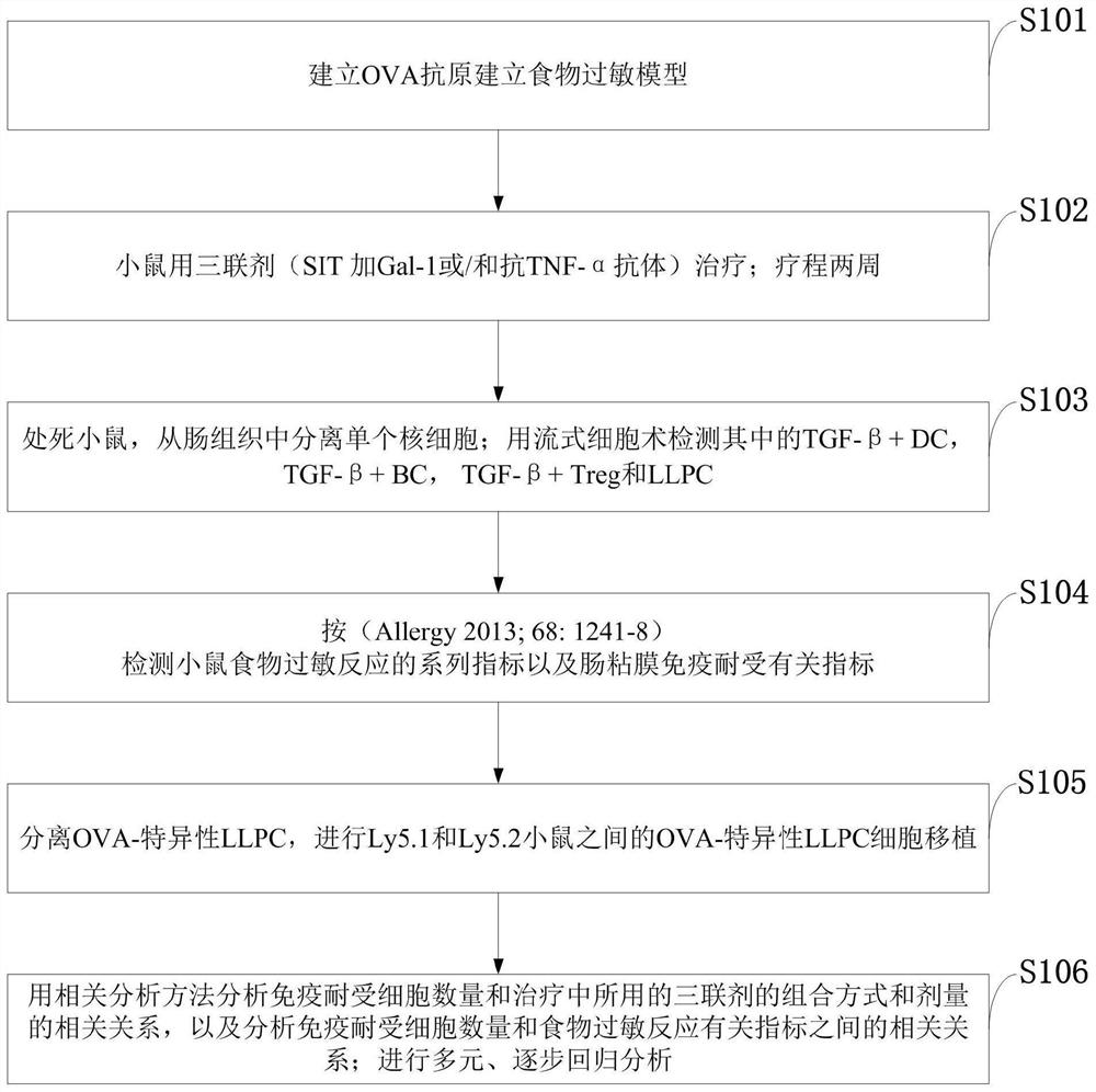 A recombinant gal-1 allergic environment immune tolerance induction model and establishment method