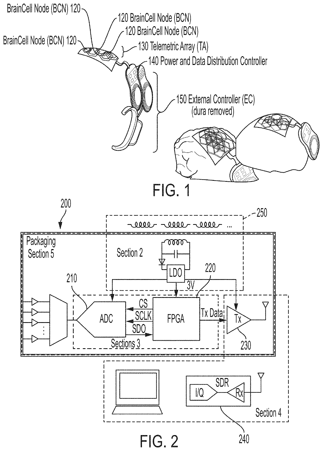 Neural interrogation platform