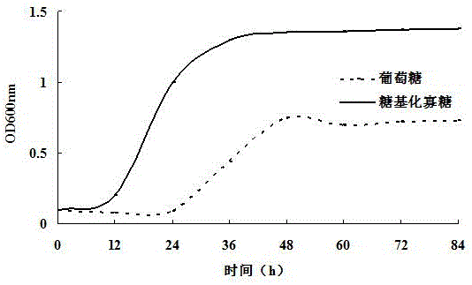 Preparation method of glycosylation enteromorpha oligosaccharide for reducing glucose level and regulating intestinal flora