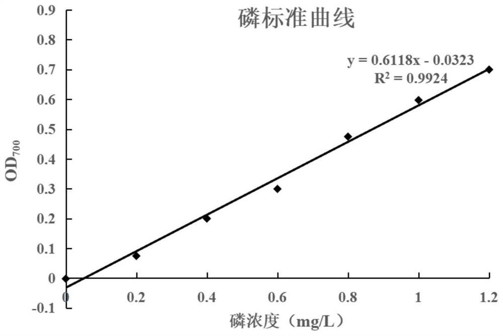 Efficient phosphate-solubilizing absidia and application thereof