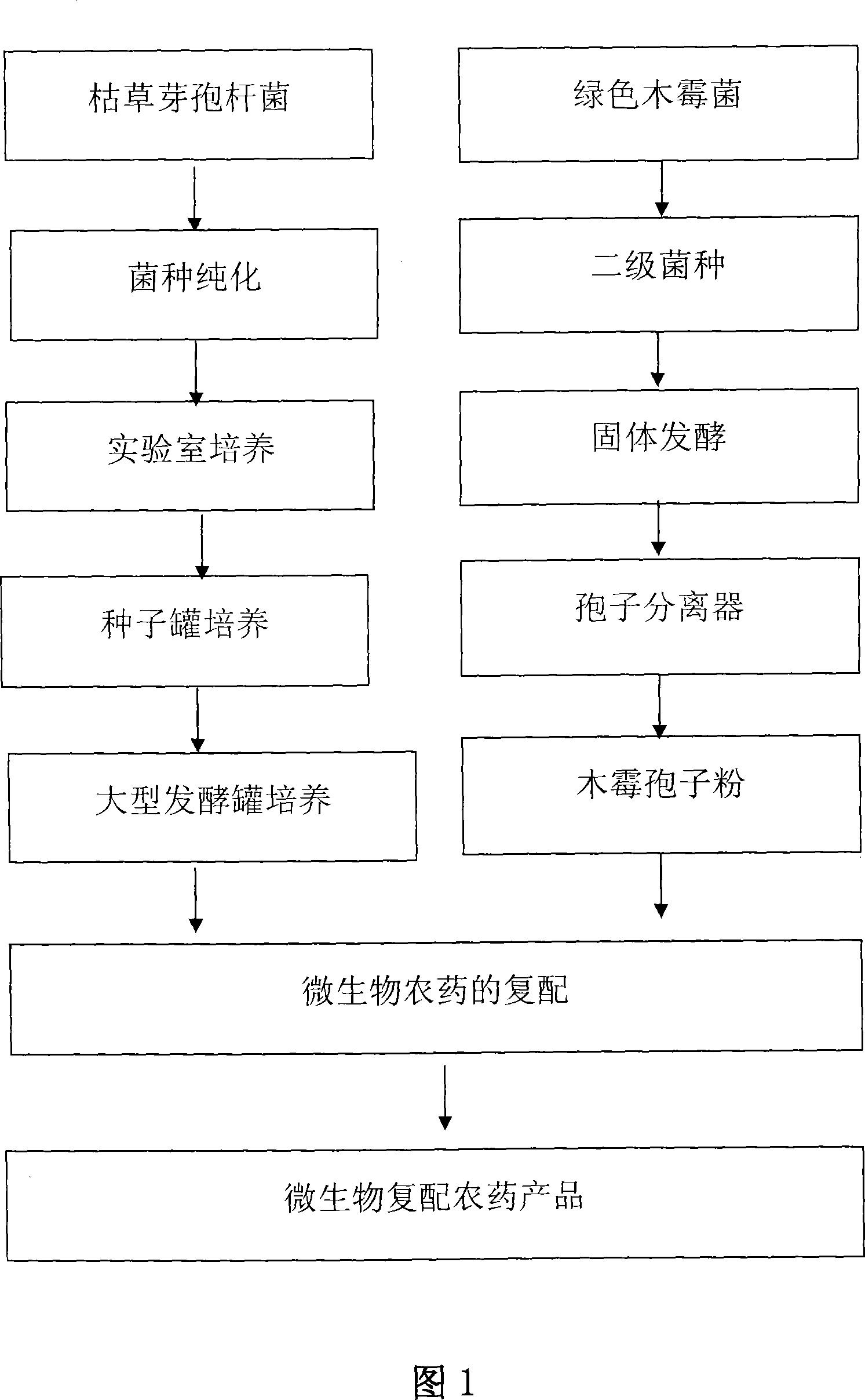 Biocontrol bacteria compound agent for preventing and controlling crop soil-infectious diseases and preparation method