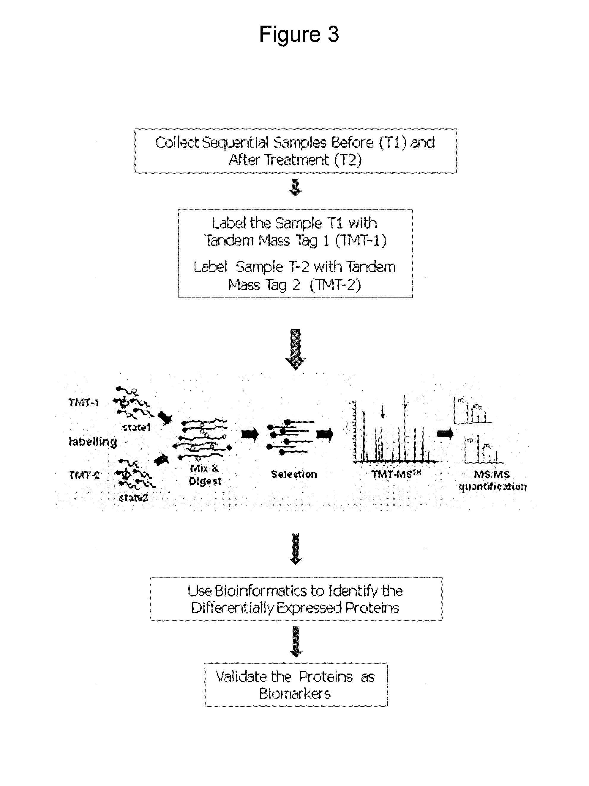 Multiple biomarker panels to stratify disease severity and monitor treatment of depression