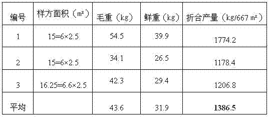 Rhizome bletilla high-yield cultivation method