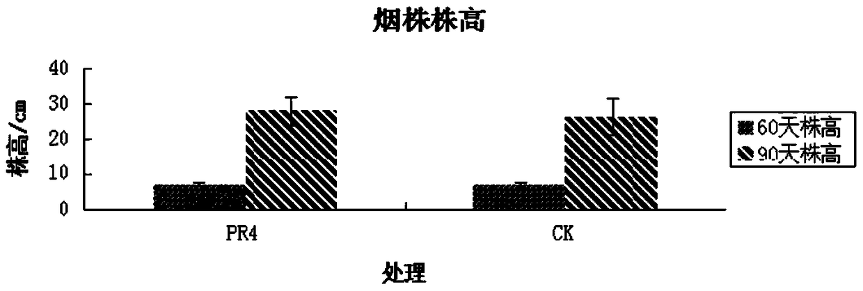 A strain of Serratia nematophila and its application