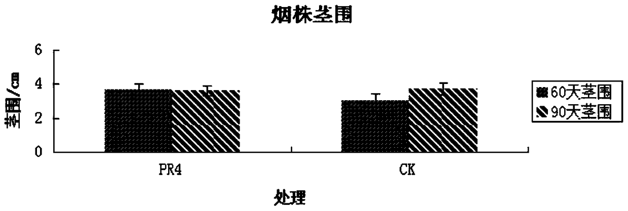 A strain of Serratia nematophila and its application