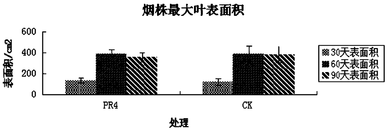 A strain of Serratia nematophila and its application