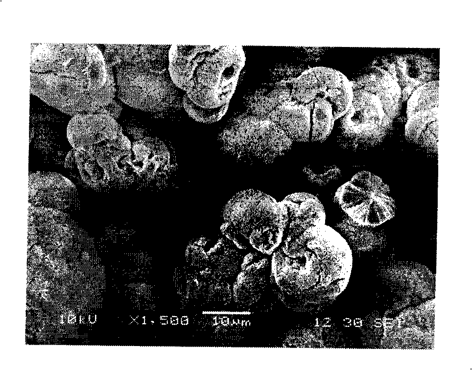 Method for preparing uniform granular magnesium hydrate by one-step reaction with ammonia bubbling method