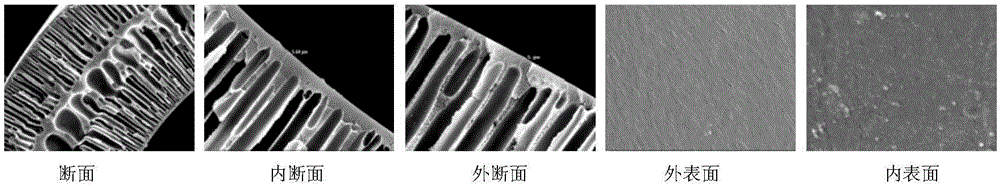 Hollow fiber ultra-filtration membrane preparation method